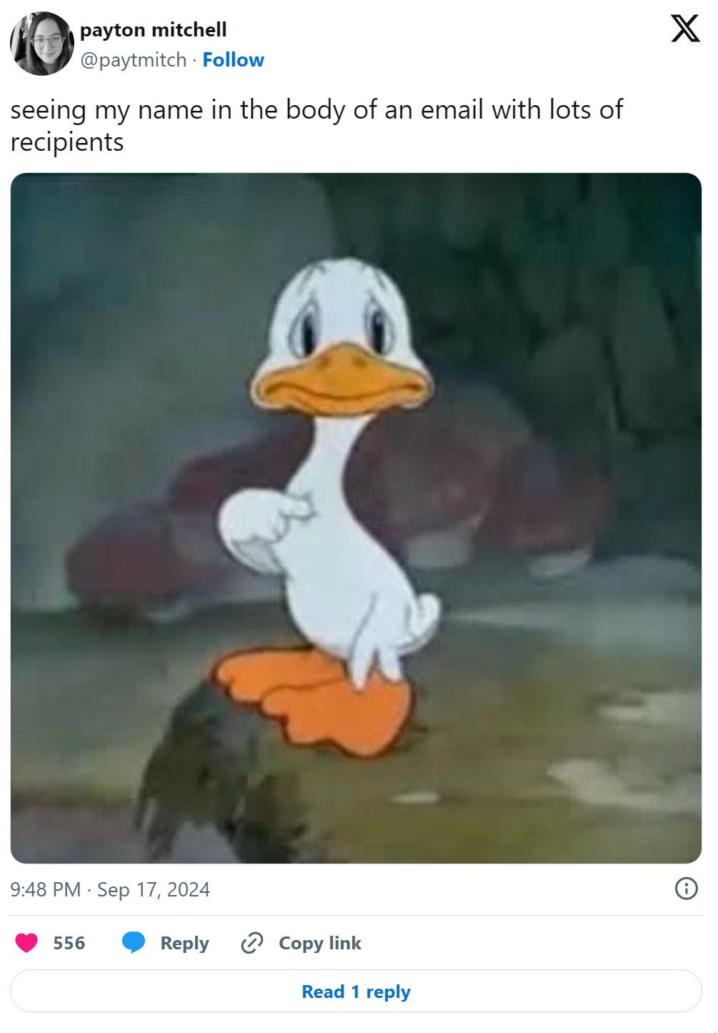 'seeing my name in the body of an email with lots of recipients' sad duck pointing at himself memes